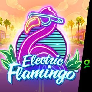 Electric Flamingo