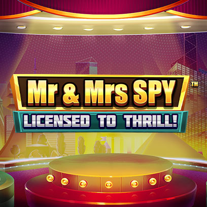 Mr Mrs Spy 