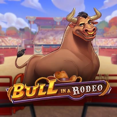 Bull in a Rodeo