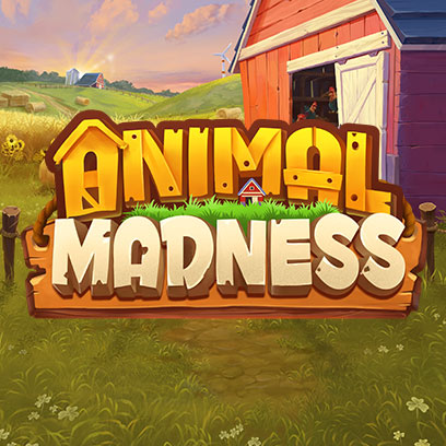 Animal Madness