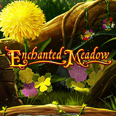 Enchanted Meadow