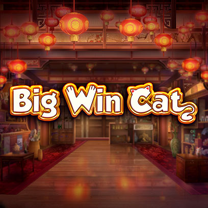 Big Win Cat