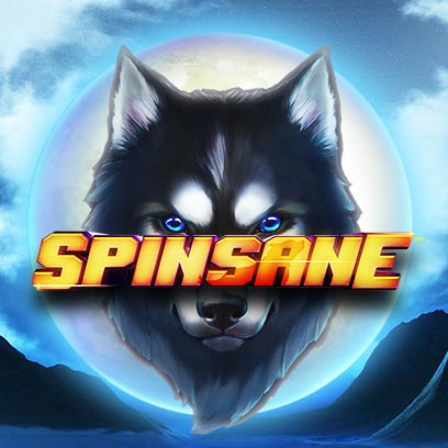 Spinsane