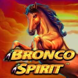 Bronco Spirit
