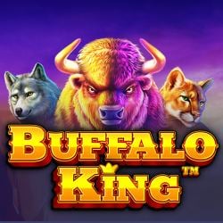 Buffalo King